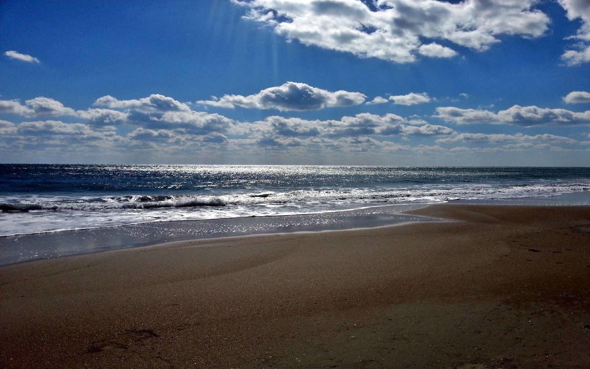 Ocean Beach Hotel Taean Exterior foto